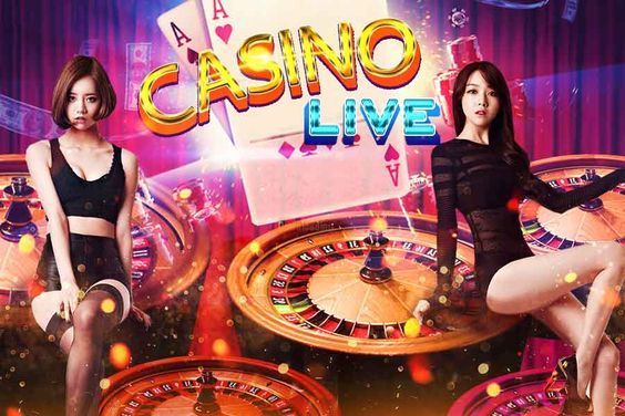 Dragon Tiger Slots Live Betting
